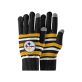 FOCO Pittsburgh Steelers NFL Stretch Gloves